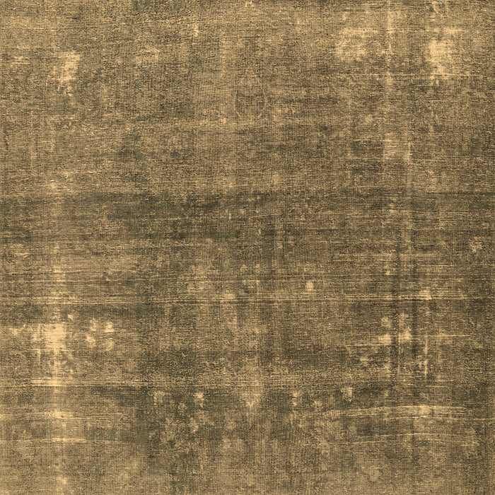 Persian Brown Traditional Rug, tr3249brn