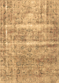 Persian Brown Traditional Rug, tr3250brn