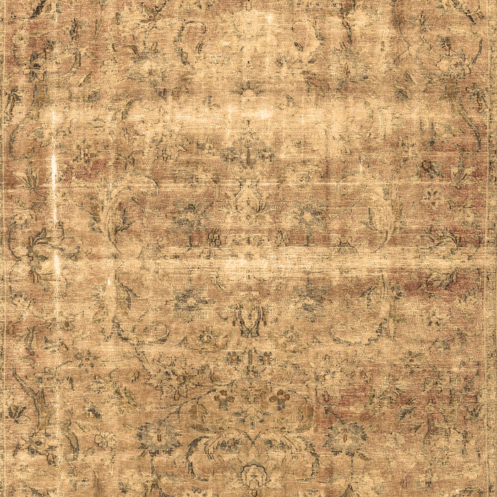 Persian Brown Traditional Rug, tr3250brn