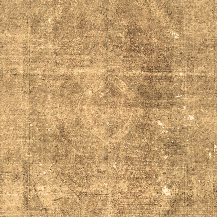 Persian Brown Traditional Rug, tr3259brn