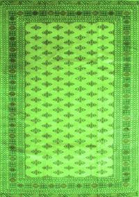 Persian Green Traditional Rug, tr325grn