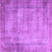 Square Persian Purple Traditional Rug, tr3272pur