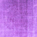 Square Persian Purple Traditional Rug, tr3284pur