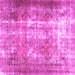 Square Persian Pink Traditional Rug, tr3286pnk
