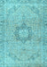 Machine Washable Persian Light Blue Traditional Rug, wshtr3292lblu