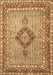 Machine Washable Persian Brown Traditional Rug, wshtr3293brn