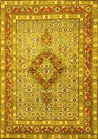 Persian Yellow Traditional Rug, tr3293yw