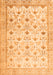 Persian Orange Traditional Rug, tr3296org