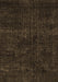 Persian Brown Bohemian Rug, tr3301brn