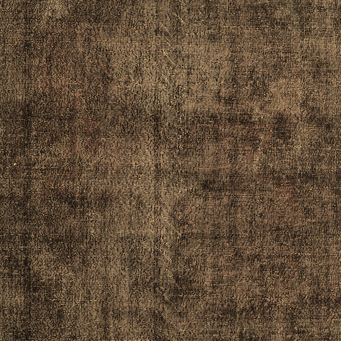 Machine Washable Persian Brown Traditional Rug, wshtr3302brn