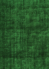 Persian Green Bohemian Rug, tr3304grn