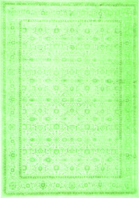 Persian Green Traditional Rug, tr3308grn