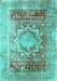 Persian Turquoise Traditional Rug, tr330turq