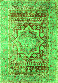 Persian Green Traditional Rug, tr330grn