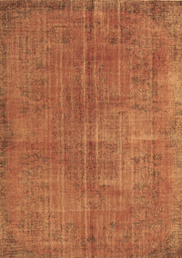 Persian Brown Traditional Rug, tr3310brn