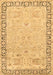 Machine Washable Persian Brown Traditional Rug, wshtr3316brn