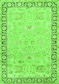 Persian Green Traditional Rug, tr3316grn