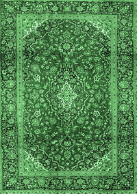 Medallion Emerald Green Traditional Rug, tr3319emgrn