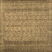 Square Persian Brown Traditional Rug, tr3321brn