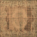 Square Persian Brown Traditional Rug, tr3324brn