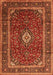 Medallion Orange Traditional Rug, tr3325org