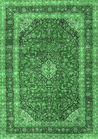 Medallion Emerald Green Traditional Rug, tr3326emgrn