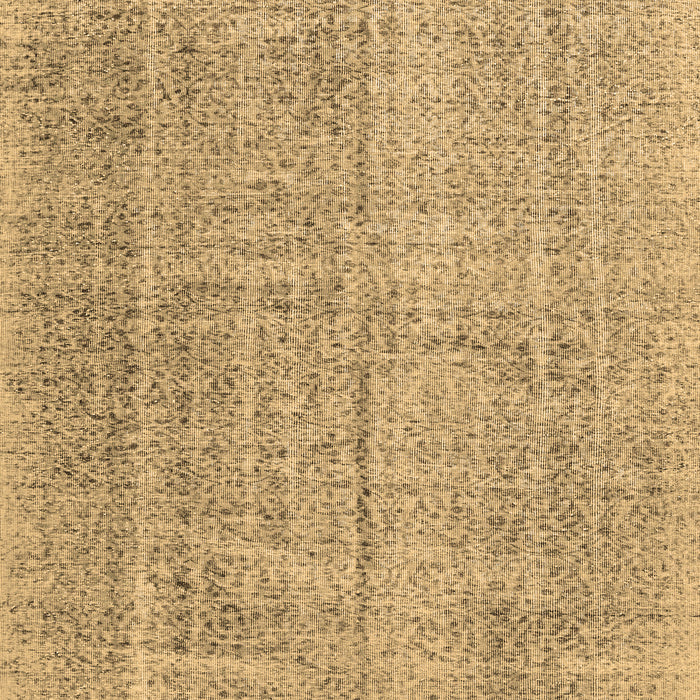 Persian Brown Traditional Rug, tr3336brn