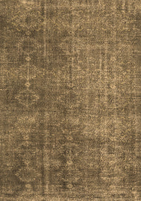 Persian Brown Traditional Rug, tr3339brn