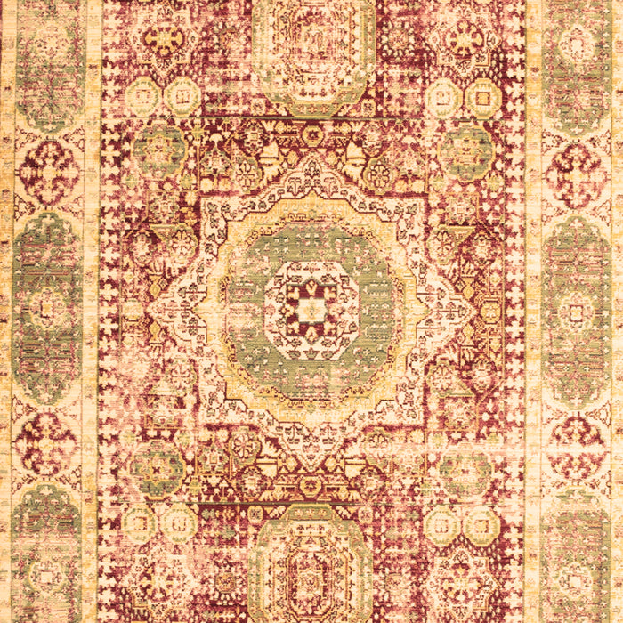Persian Brown Traditional Rug, tr333brn