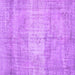 Square Machine Washable Persian Purple Traditional Area Rugs, wshtr3341pur