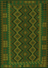 Southwestern Green Country Rug, tr3343grn