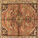 Square Persian Brown Traditional Rug, tr3344brn