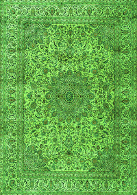 Persian Green Traditional Rug, tr3349grn