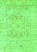 Persian Green Traditional Rug, tr334grn
