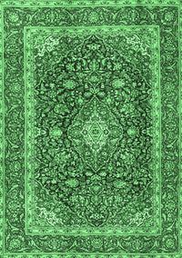 Medallion Emerald Green Traditional Rug, tr3350emgrn