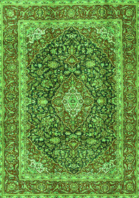 Medallion Green Traditional Rug, tr3350grn