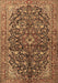 Persian Brown Traditional Rug, tr3351brn