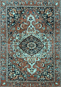 Medallion Light Blue Traditional Rug, tr3352lblu