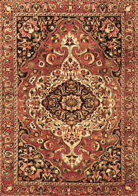 Medallion Brown Traditional Rug, tr3352brn