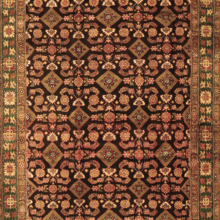 Persian Brown Traditional Rug, tr3354brn