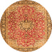 Machine Washable Persian Orange Traditional Area Rugs, wshtr3361org