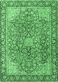 Persian Emerald Green Traditional Rug, tr3361emgrn