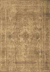 Persian Brown Traditional Rug, tr3362brn