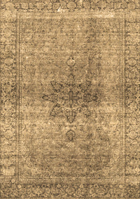 Persian Brown Traditional Rug, tr3364brn