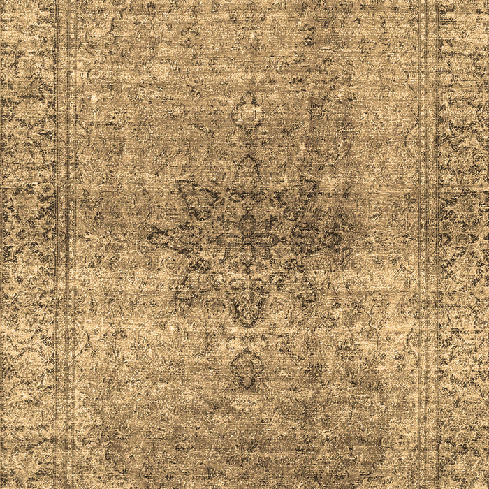 Persian Brown Traditional Rug, tr3364brn