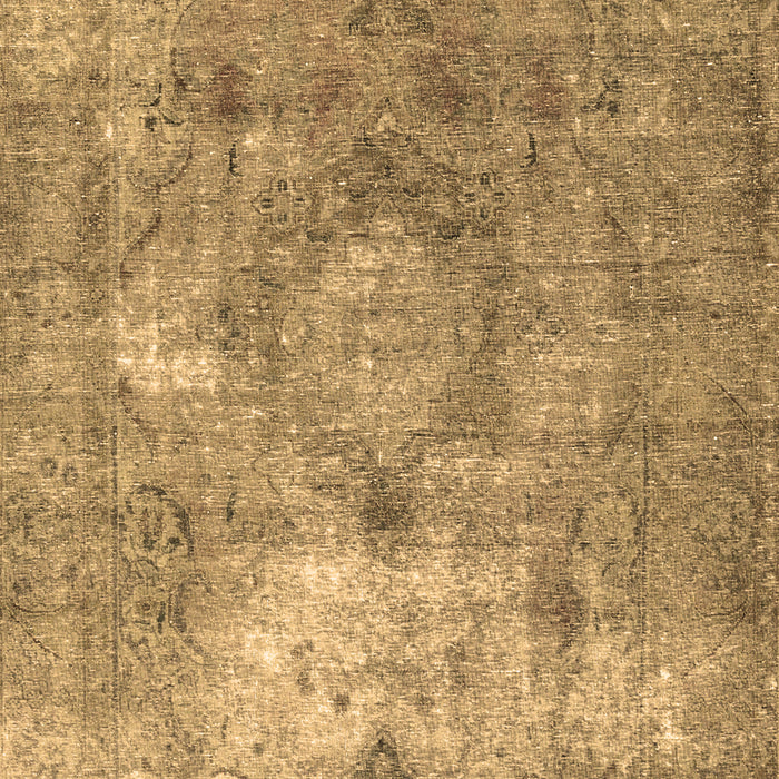 Persian Brown Traditional Rug, tr3369brn