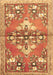 Animal Brown Traditional Rug, tr3370brn