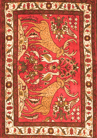 Animal Orange Traditional Rug, tr3371org