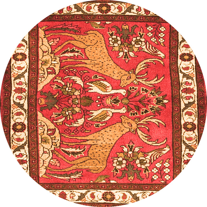 Machine Washable Animal Orange Traditional Area Rugs, wshtr3371org