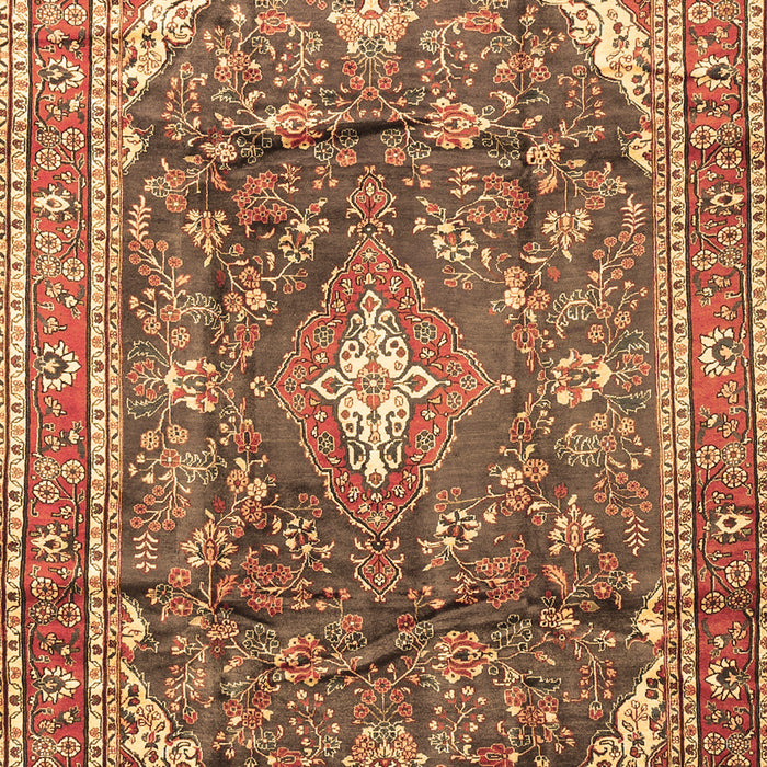 Machine Washable Persian Brown Traditional Rug, wshtr3374brn